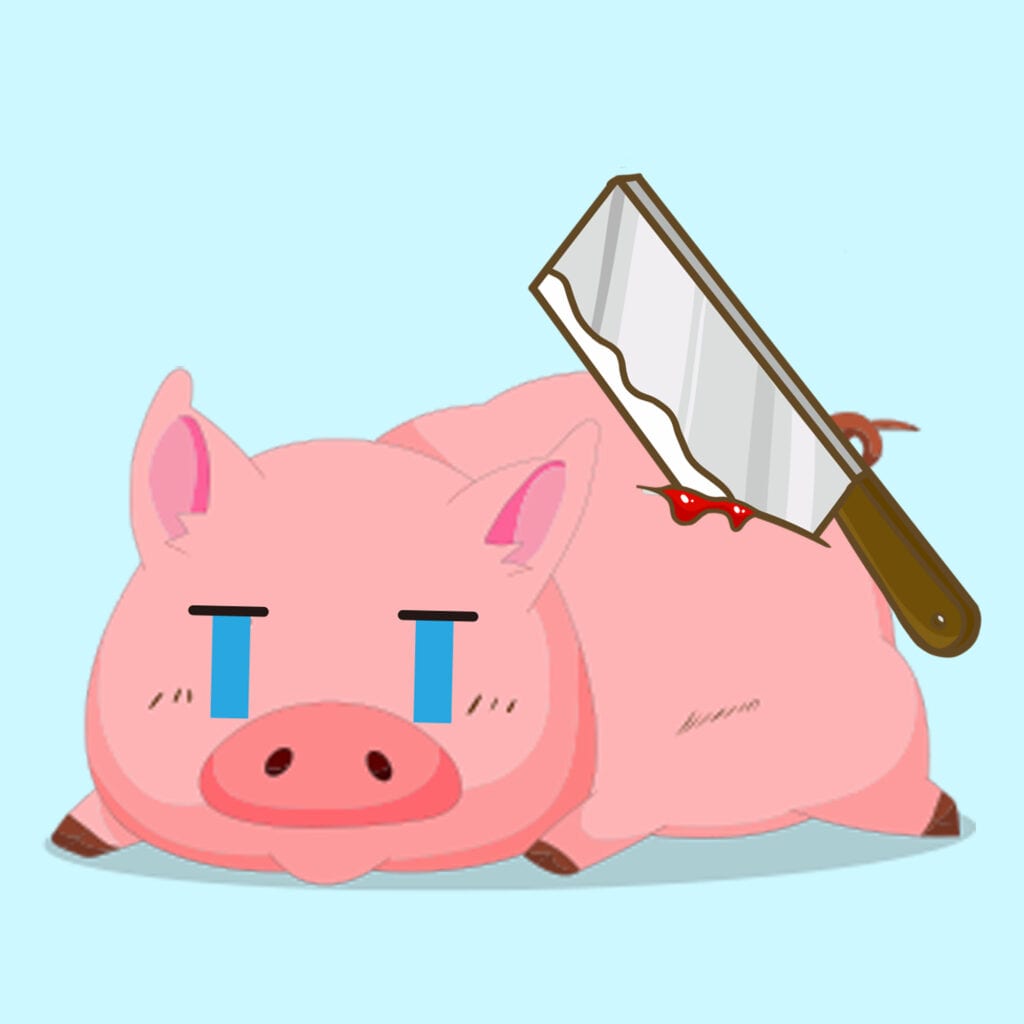 網上投資騙案，最新加密貨幣,比特幣(bitcoin),虛擬貨幣交易投資騙案手法｜守網者